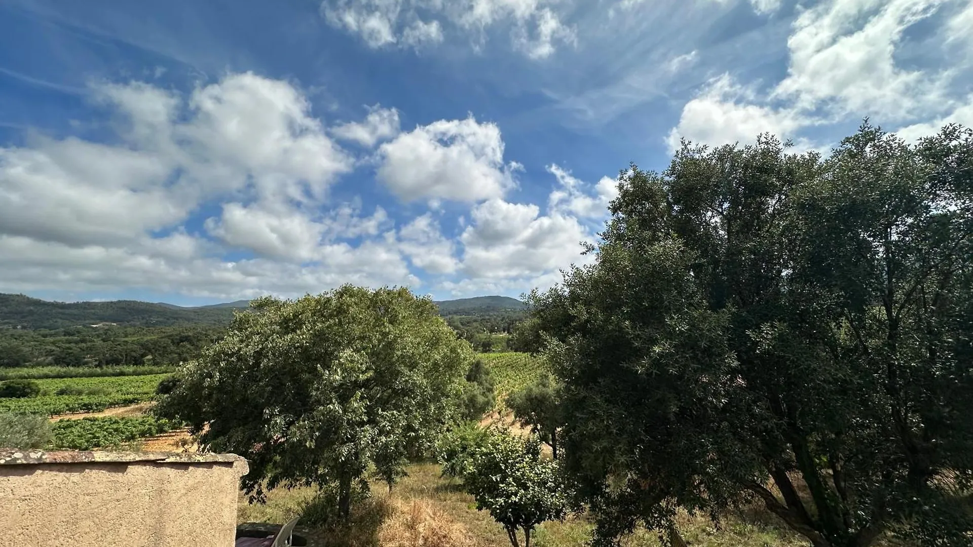 Magnifique Appartement T3 Renove Avec Gout Au Coeur Des Vignes Cogolin